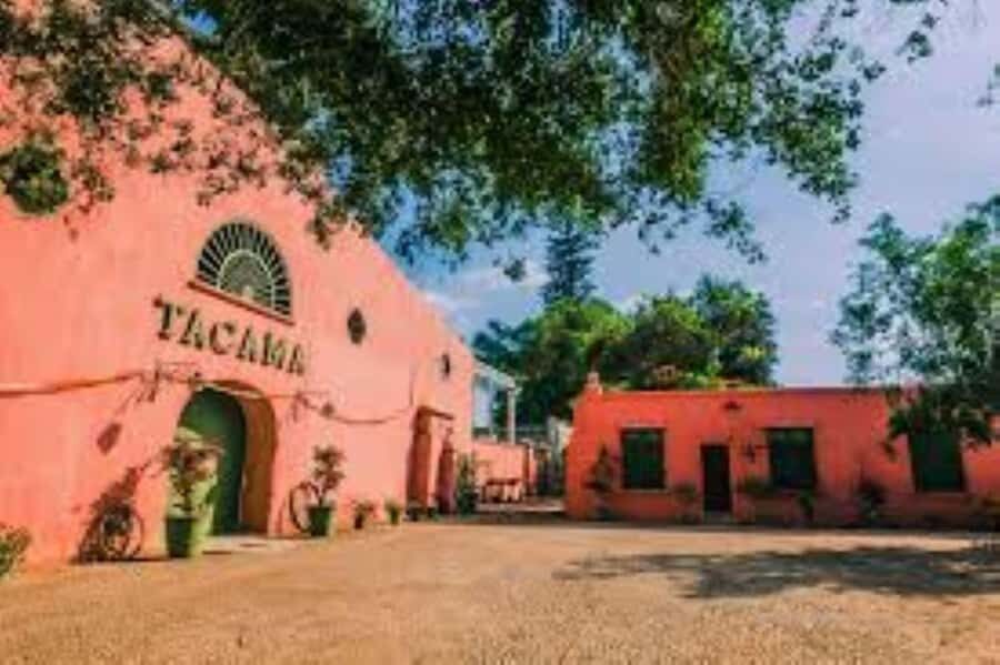 From Lima: Ica and Nazca Huacachina + Wines + Overflight - Artisanal Winery Visit: Tasting the Flavors of Ica