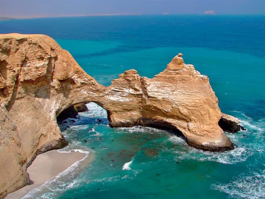 From Lima: Ica + Paracas 2D / 1N - Day Two: Wildlife and Coastal Wonders