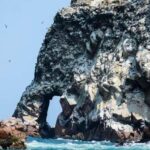 From Lima: Ica - Paracas - Nazca 3D/2N - The Experience: What Travelers Say