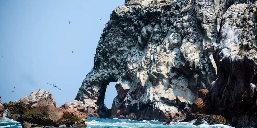 From Lima: Ica - Paracas - Nazca 3D/2N - The Experience: What Travelers Say