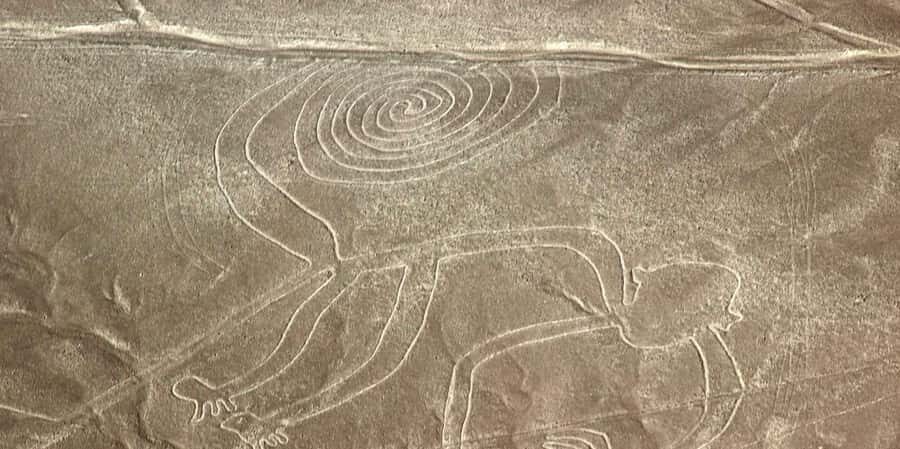 From Lima: Nazca Lines & Huacachina Oasis Private Trip - Who Will Love This Tour?