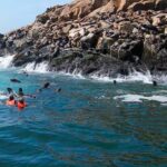 From Lima: Palomino Islands - An In-Depth Look at the Palomino Islands Tour
