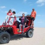 From Lima: Paracas and Huacachina Day Trip with Transfers - Who Should Consider This Tour?