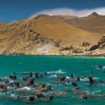 From Lima: Paracas and Huacachina Day Trip with Transfers - Things to Keep in Mind