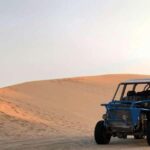 From Lima: Paracas and Huacachina Guided Desert Oasis Trip - A Complete Look at the Paracas and Huacachina Tour