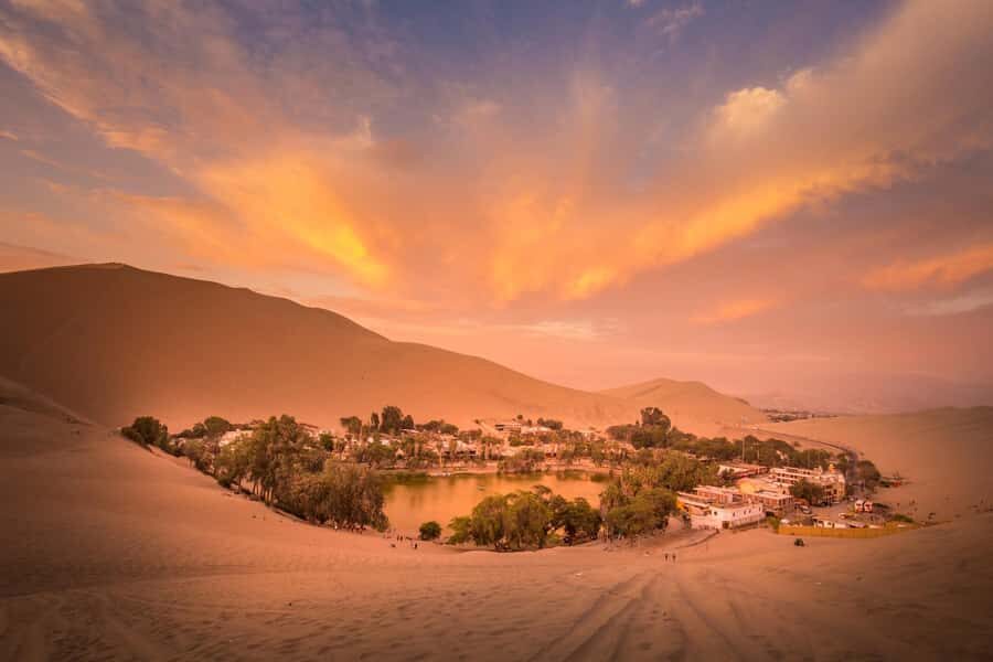 From Lima: Paracas and Huacachina Oasis Full Day Tour - Authentic Experiences and Real Travelers’ Feedback