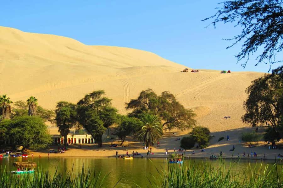 From Lima: Paracas, Ballestas Islands, and Huacachina Day - How This Tour Brings Value