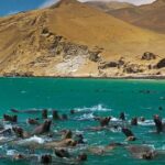 From Lima: ParacasHuacachina and Nazca Lines 2 Days/1 Night - Practical Tips for Travelers