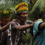 From Loreto: Full Day Nanay River - Momón - Amazonas - Exploring Loreto’s Rivers and Wildlife