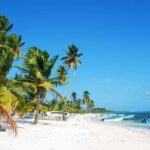 From Los Melones: Saona Island Day Trip with Lunch - Detailed Review: What to Expect from the Saona Island Day Trip