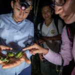 From Madre de Dios ||Night trekking in the Amazon jungle - The Itinerary and What to Expect