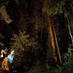 From Madre de Dios Night trekking in the Amazon jungle - An In-depth Look at the Night Trek Experience