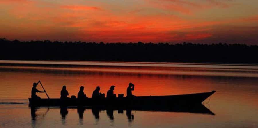 From Madre de Dios ||Night trekking in the Amazon jungle - Final Thoughts: A Unique Nighttime Encounter in the Amazon