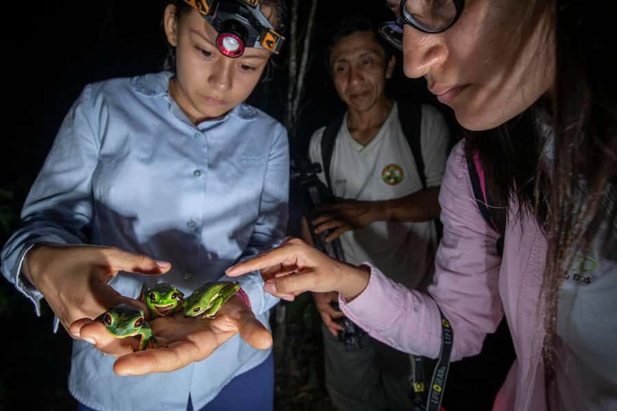 From Madre de Dios ||Night trekking in the Amazon jungle - The Itinerary and What to Expect
