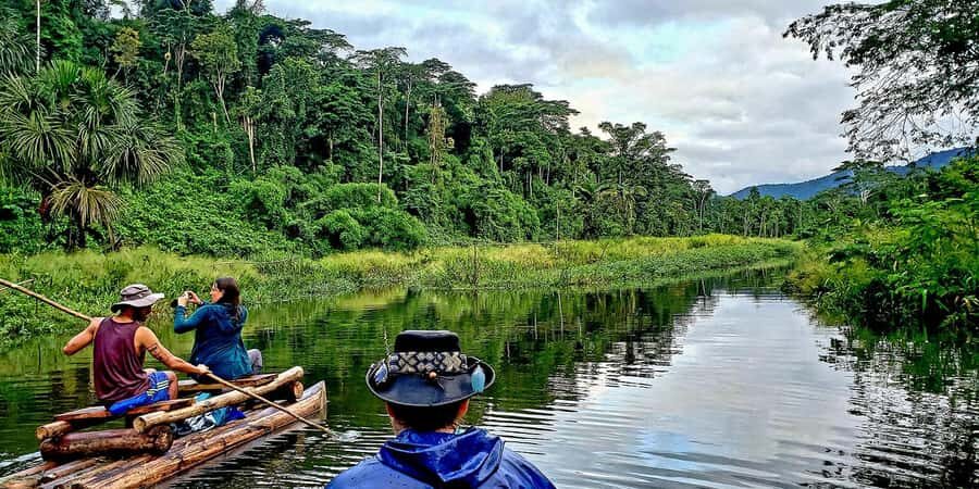 From Madre de Dios ||Night walk in the Amazon rainforest - Exploring the Night Walk in Detail