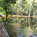 From Manaus: One-Day Amazon Jungle Experience - Why We Think This Tour Offers Great Value