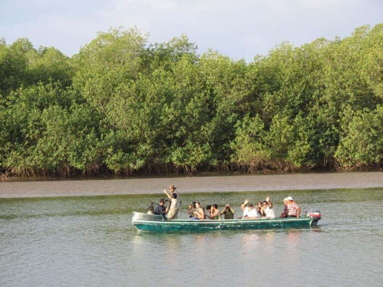 From Mancora: National Sanctuary of the Mangroves - Tumbes - What’s Included and What’s Not