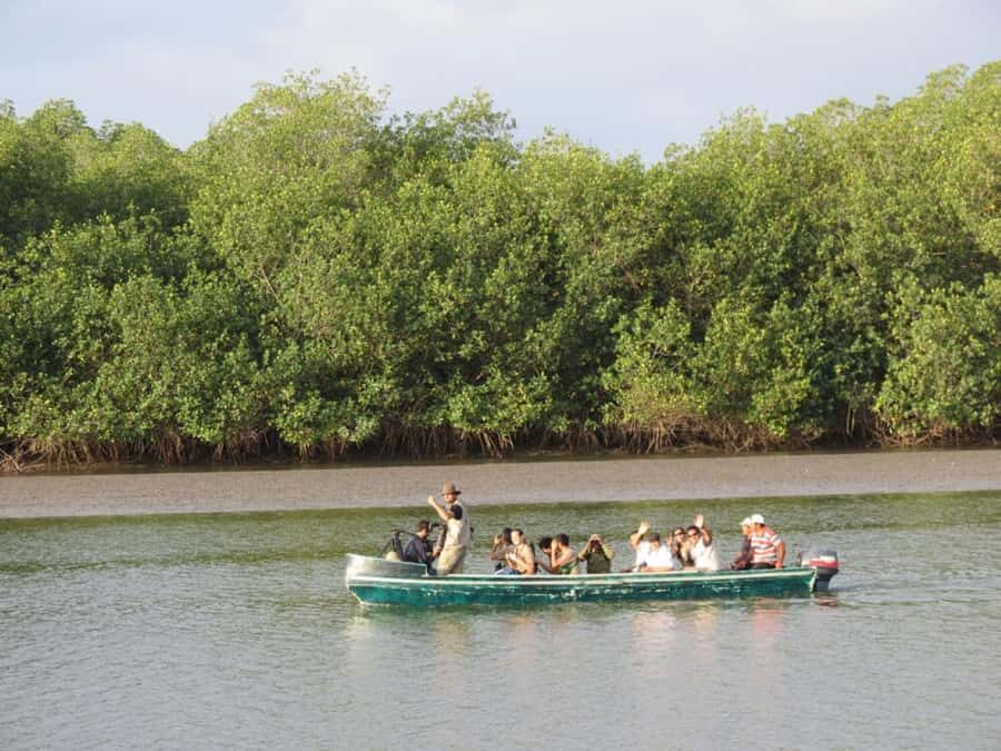 From Mancora: National Sanctuary of the Mangroves - Tumbes - What’s Included and What’s Not