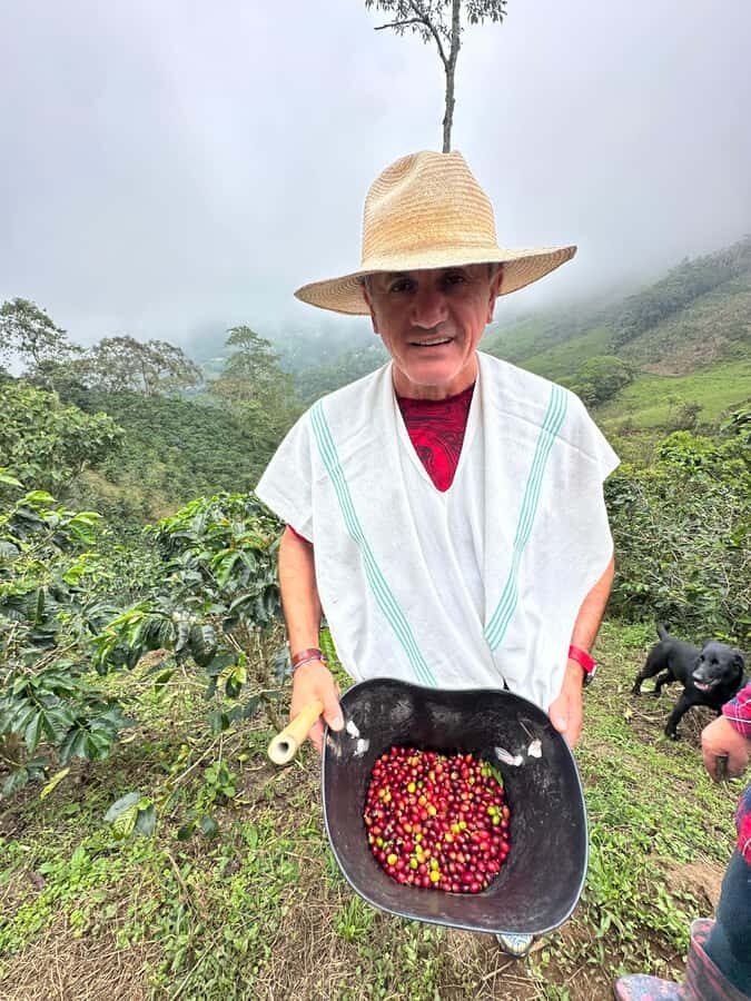 From Medellín: Coffee Farm Hiking & Exotic Fruit Marketplace - What travelers say