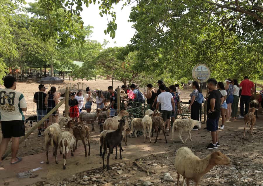 From Medellín: Day Trip to Hacienda Nápoles Theme Park - FAQ