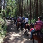 From Medellin: Guided Horseback Riding Tour in Nature - Who Is This Tour Best For?