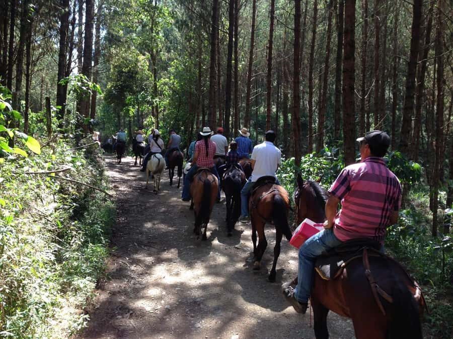From Medellin: Guided Horseback Riding Tour in Nature - Who Is This Tour Best For?