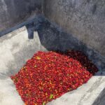 From Medellín: Jardín Coffee tour, optional Horseback Riding - Practicalities & Tips for Your Trip