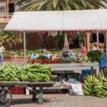 From Medellín: Jericó Full-Day Tour - Summary of Benefits