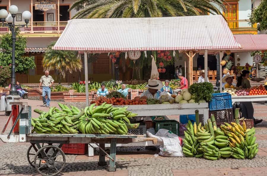 From Medellín: Jericó Full-Day Tour - Summary of Benefits