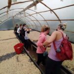 From Medellin: Private Envigado Coffee Tour with Tastings - Final Thoughts