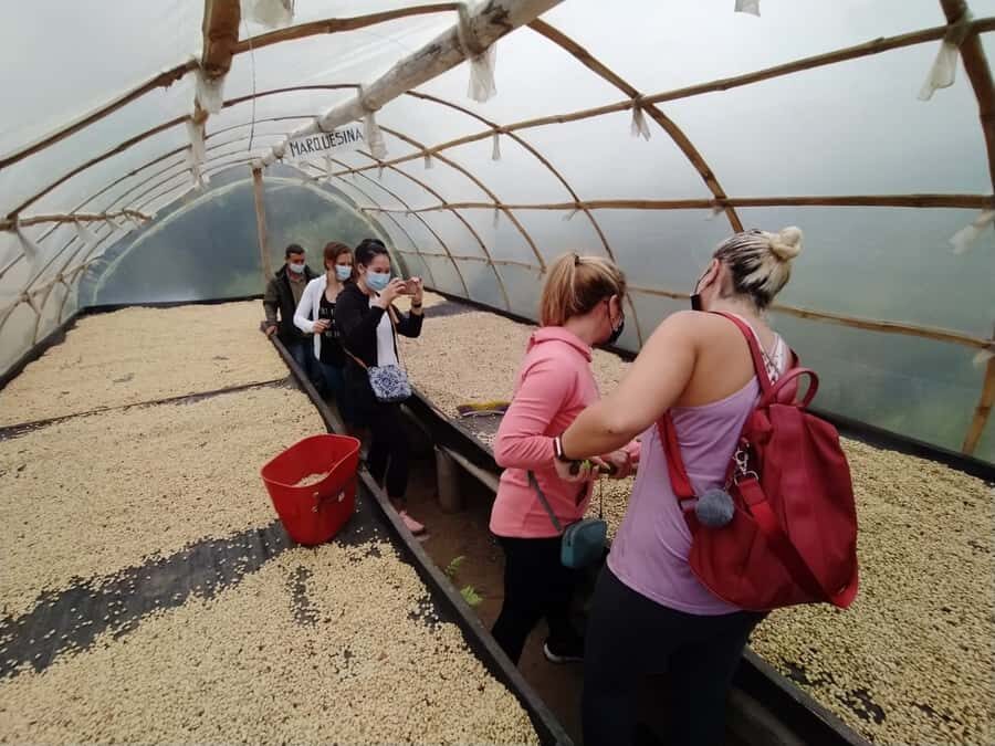 From Medellin: Private Envigado Coffee Tour with Tastings - Final Thoughts