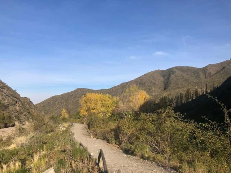 From Mendoza: Andes High Mountain Full-Day Tour - In-Depth Review: Discovering the Andes from Mendoza