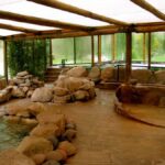 From Mendoza: Premium Spa Day at the Cacheuta Hot Springs - Exploring the Thermal Spa at Cacheuta: What to Expect