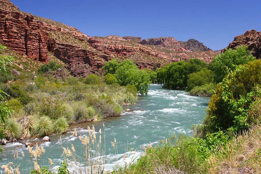 From Mendoza: San Rafael Sightseeing and Atuel Canyon Tour - Authentic Traveler Insights