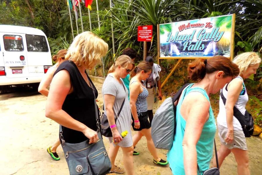 From Montego Bay: Island Gully Falls and Blue Hole Tour - Why This Tour Offers Real Value