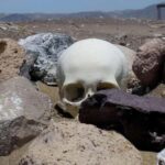 From Nazca: Chauchilla Cemetery Tour and Artisans Workshop - Why This Tour Matters