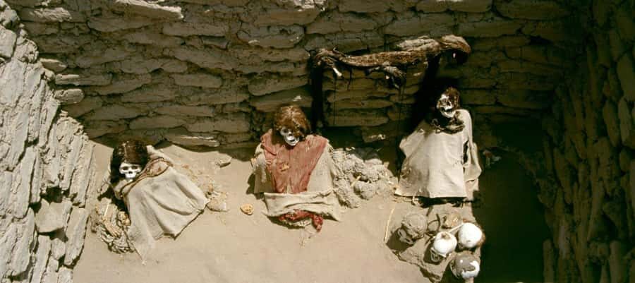 From Nazca: Chauchilla Cemetery Tour - Practical Tips for Visiting Chauchilla Cemetery