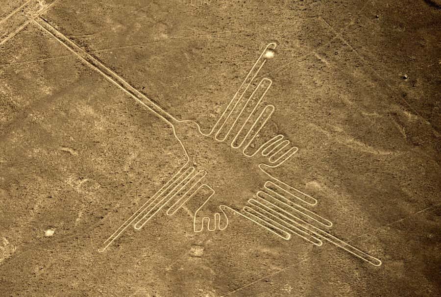 From Nazca: Flight in a light aircraft over the Nazca Lines - Who This Tour Is Best For