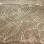 From Nazca: Flight in a light aircraft over the Nazca Lines - Discovering the Nazca Lines from the Air: A Practical and Authentic Perspective