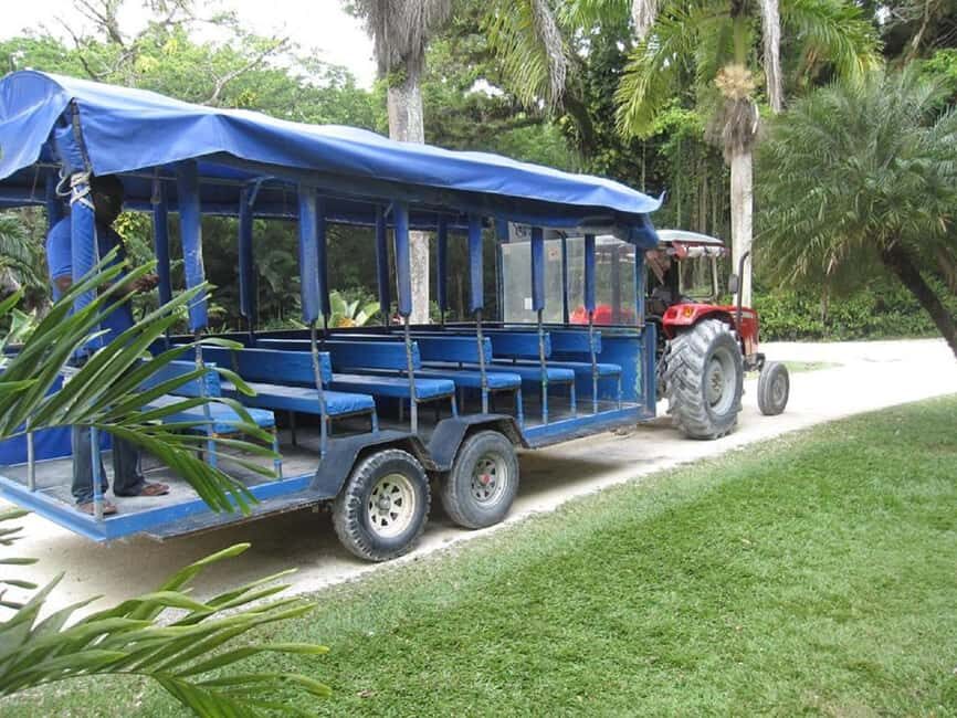 From Negril: YS Falls and the Pelican Bar