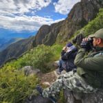 From Ollantaytambo: Abra Malaga Birdwatching Tour - Analyzing the Value