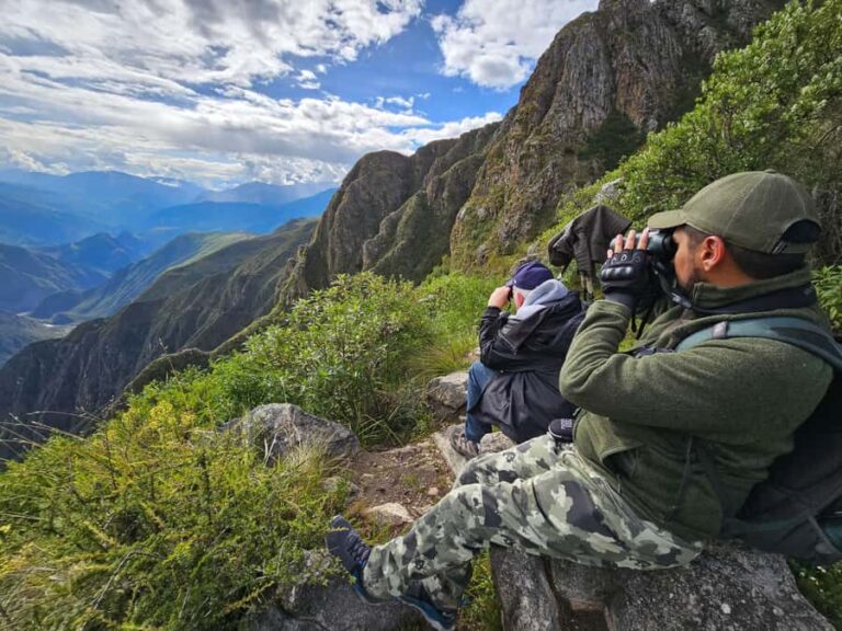 From Ollantaytambo: Abra Malaga Birdwatching Tour - Analyzing the Value