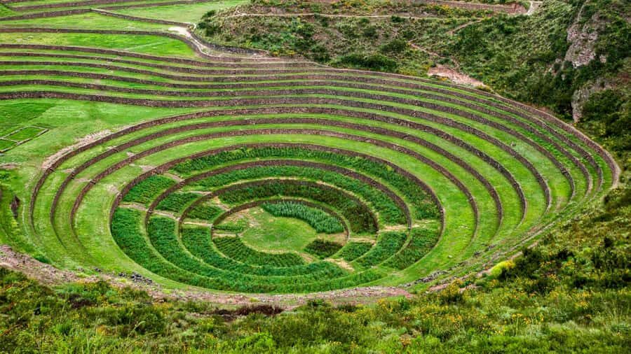 From Ollantaytambo |Private tour Maras Moray and Salineras - Frequently Asked Questions