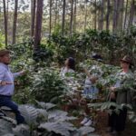 From Oxapampa: Villa Rica, the capital of the Coffee Route - Practical Details and Value