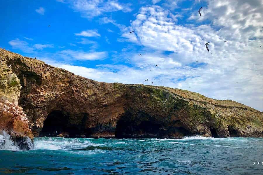 From Paraacas: Ballestas Islands + Paracas National Reserve - An In-Depth Look at the Tour Experience