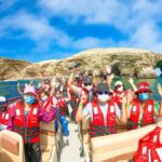 From Paracas: Ballestas Island Boat Tour with entrances - Who Is This Tour Best For?