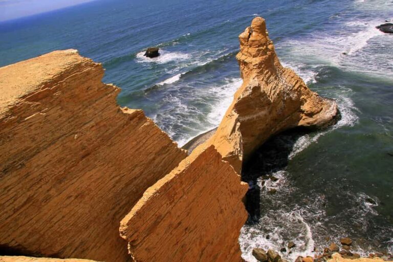 From Paracas: Ballestas Islands & Paracas National Reserve - Final thoughts