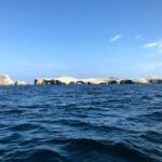 From Paracas or Pisco: Ballestas Islands Private Boat Trip - Detailed Review of the Experience