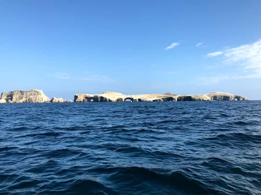 From Paracas or Pisco: Ballestas Islands Private Boat Trip - Detailed Review of the Experience