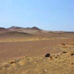 From Paracas: Paracas National Reserve Private Tour - An In-Depth Look at the Paracas National Reserve Private Tour